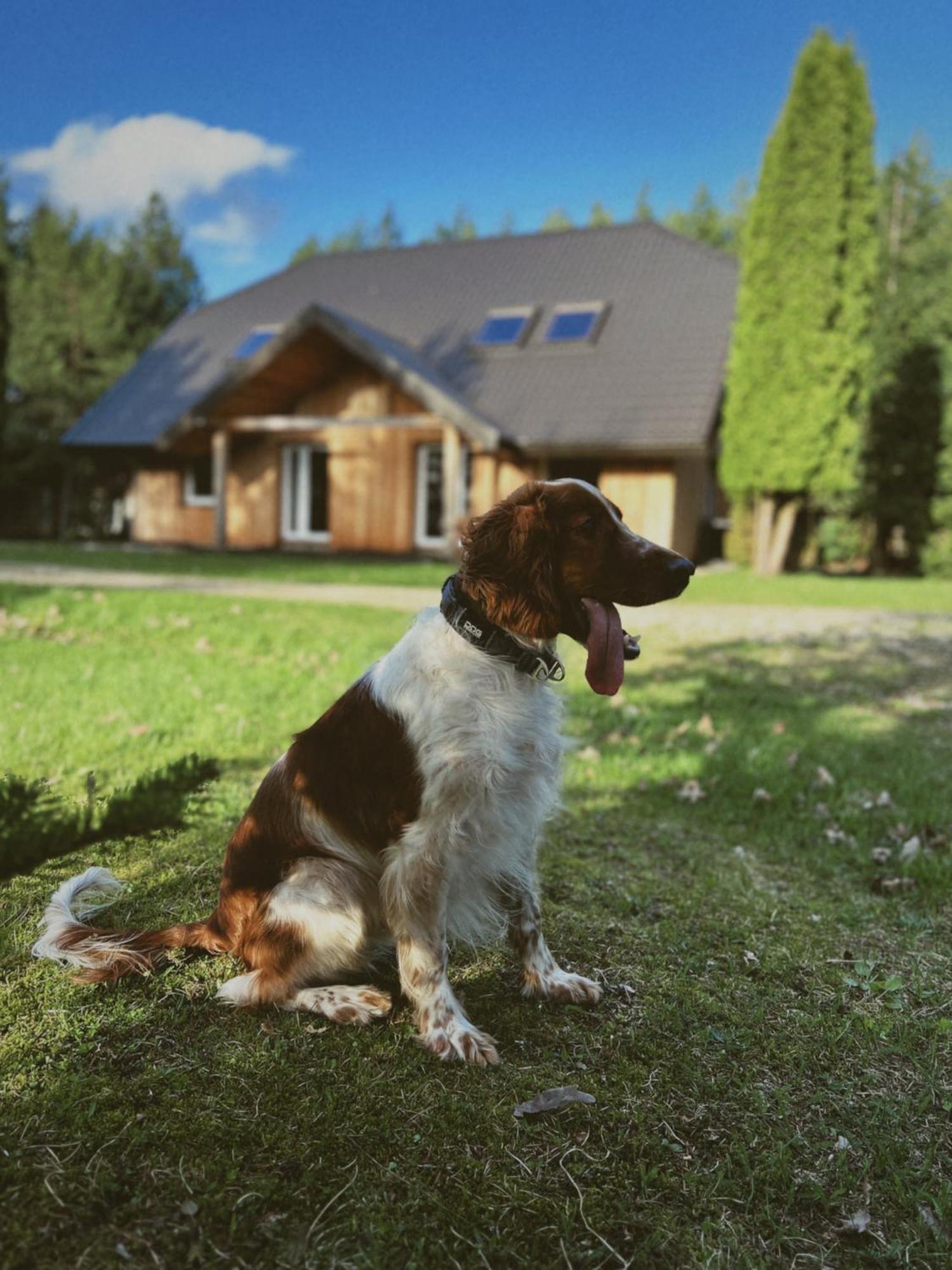 Pakaso Sodyba Kirdeikiai Esterno foto